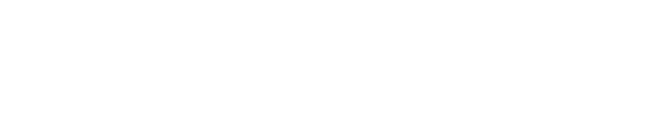 logoipsum-325-1.png